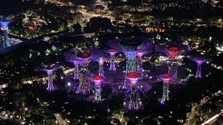 Singapore ?? | Supertree Grove Light Show at Gardens by the Bay by night (Top of Marina Bay Sands)