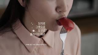 보랄 더 셰프 칼소독기 &amp; 칼 세트 BR-Y958-KS 니즈
