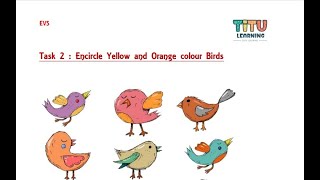 Identify Birds, Count them || क्या आप बर्ड को पहचान और काउंट कर सकते है ?