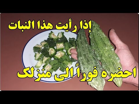 فيديو: هل عشبة الكرسليا جيدة؟