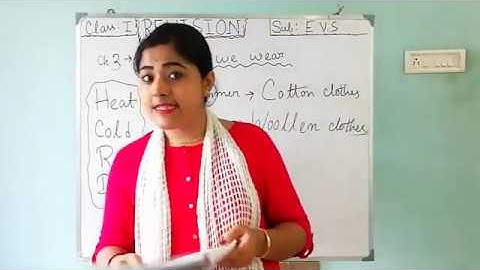 Class I EVS Clothes we wear (REVISION)