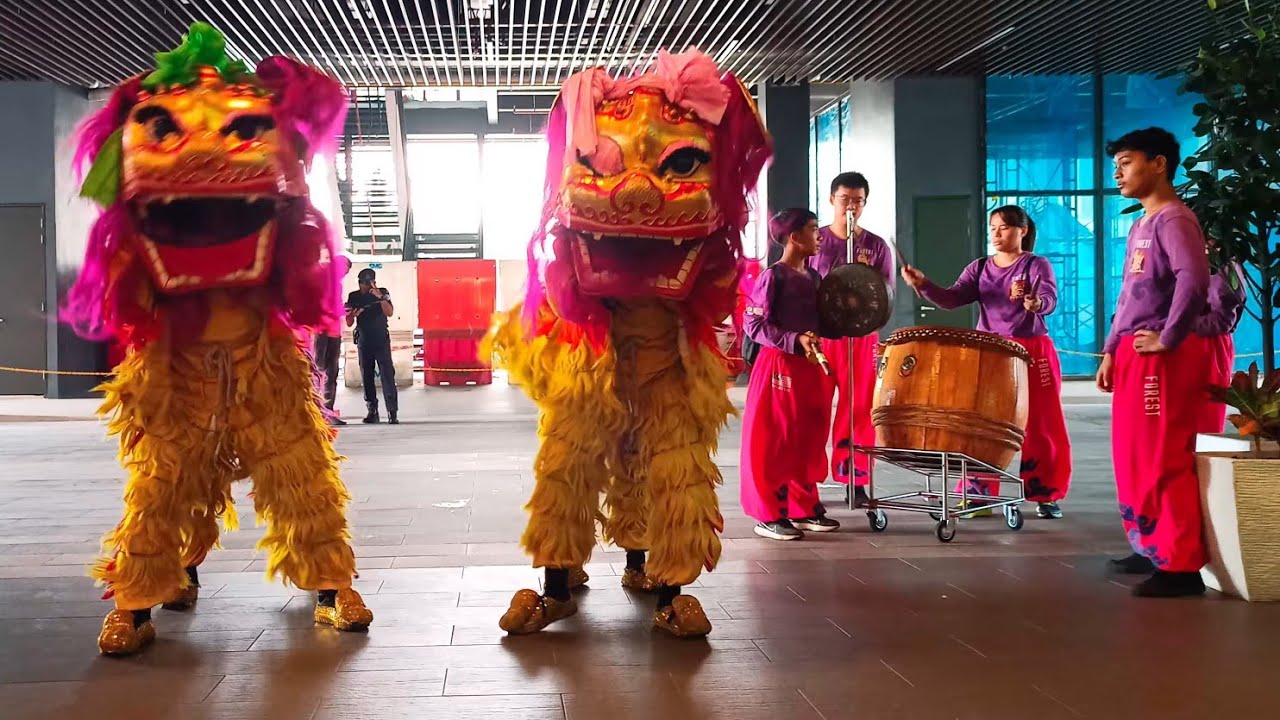 Lion Dance - A colorful symbol of celebration and living tradition. 🦁🎉