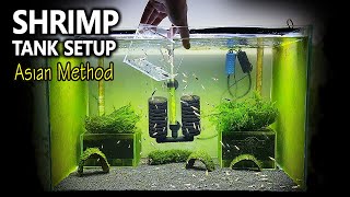 Shrimp Tank Setup for Caridina | Asian Method with Undergravel Filter