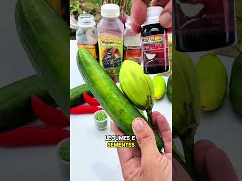 #Coleiro #Tiziu #PapaCapim #fyp