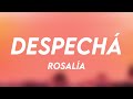 DESPECHГЃ ROSALГЌA Lyrics Video рџђ DESPECHГЃ ROSALГЌA Lyrics Video рџђ