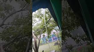 My school shortvideo_ youtubeshorts viral