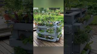 Грядки и клумбы из поддонов #дача #грядки #клумбы #своимируками #обзордачи