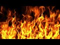 FUEGO De NOCHE FONDO ANIMADO VFX GRATIS No Copyright 
