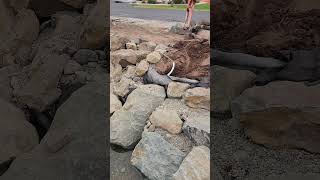 pond liner Leak Detection.  the last video you'll need. November 20, 2024