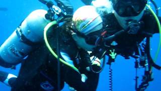 MVI_0275.AVI