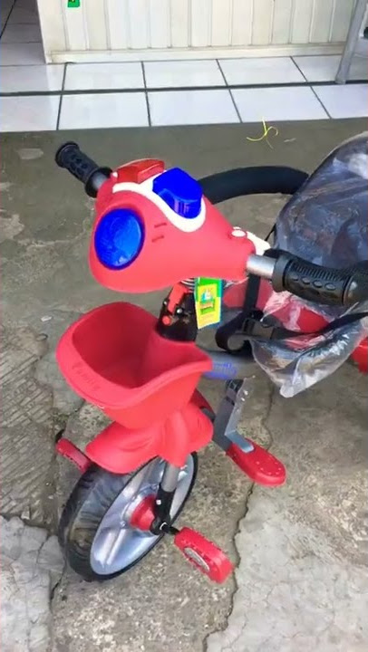 Sepeda roda tiga Family Verde F 8105