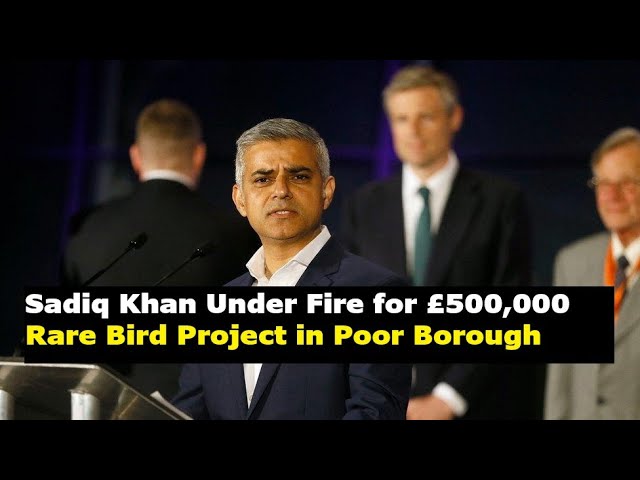 The Hypocrisy of Wild Justice as £550,000 of Public Money spent on  Non-Native Birds