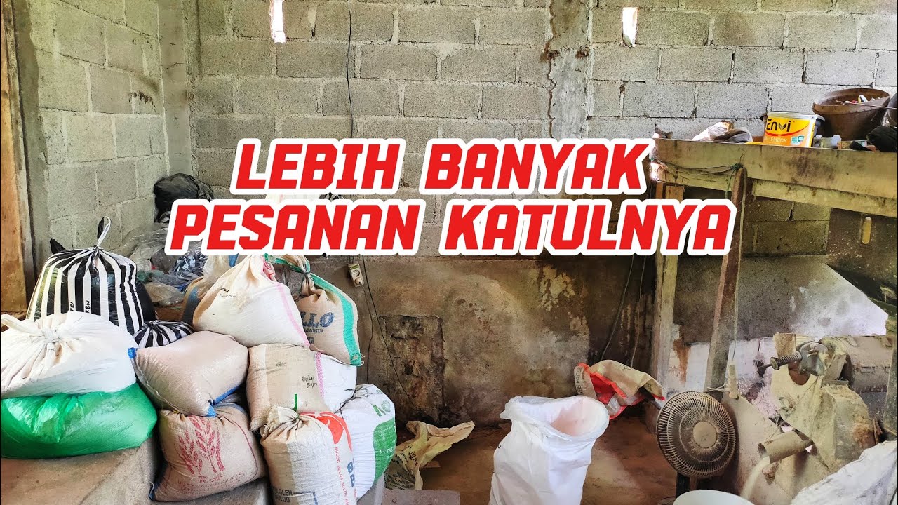 LEBIH BANYAK PESANAN KATULNYA DARI PADA PADI YANG DI GILING 