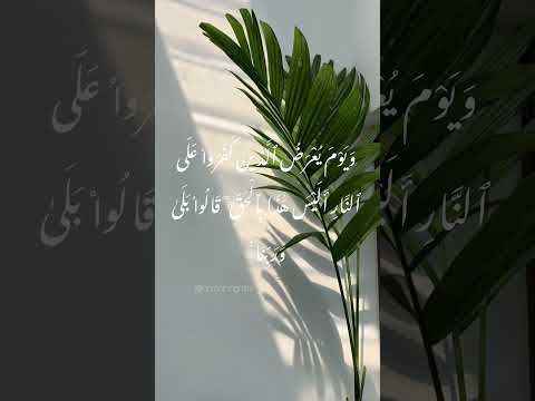 س ور ة الأحقاف منصور السالمي Surah Al Ahqaf Mansour Al Salmi