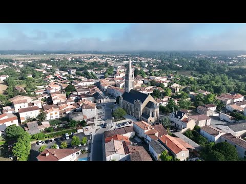 Vidéo: Dans les régions hilaires ?