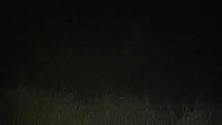 FEC TRAIN 226#767@4:54am