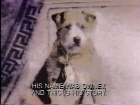 Story of Owney, Mascot of the Railway Mail Service - YouTube