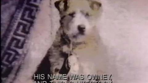 Story of Owney, Mascot of the Railway Mail Service