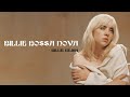 Billie Eilish - Billie Bossa Nova [Full HD] lyrics
