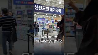 Ulsan's Largest Warehouse-Style Pharmacy Opens🔥 Shop and Get Medicine at Freshness Mall! Mega Pha...