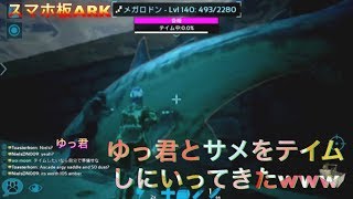 Arkモバイル実況65 メガロドン大作戦 Smotret Video Onlajn 116okon Ru