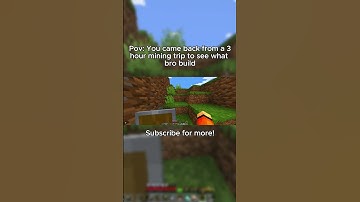 Pov: You came back from a 3 hour mining trip to see what bro build