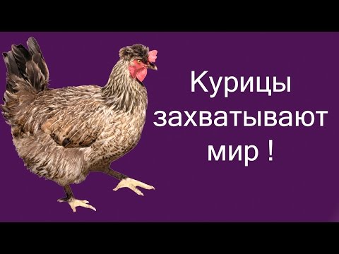 Видео: Курицы захватывают мир ! ( Dead acres )