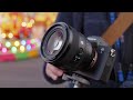 Sony FE 50mm f/1.4 GM - A New Standard for Standards