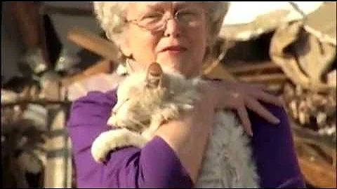 Tornado Victim Finds Cat During Interview