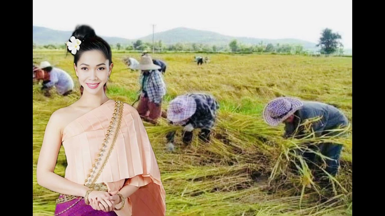 បទសារិកាសួរមែក🎼ប្រពៃណី រ៉ាវីច្រៀង#cover 01/11/2025