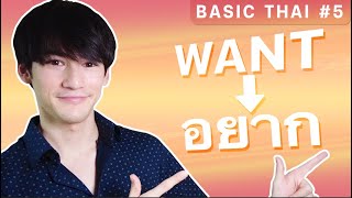 Basic Thai #5 | How to say 'WANT' with 4 different words