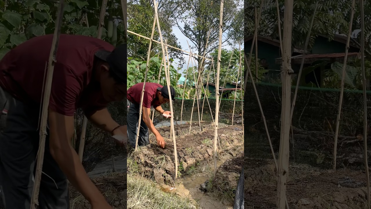 Percayakan pada tuhan