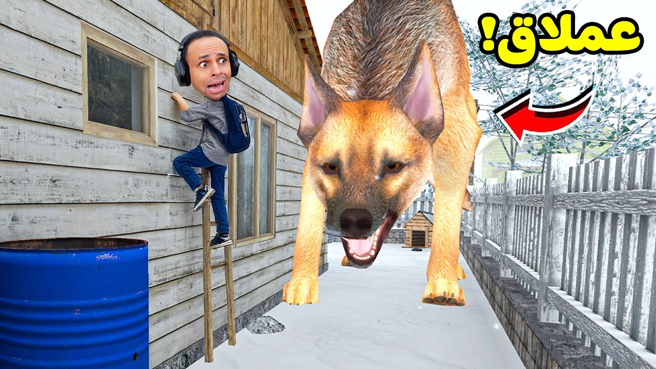 كلب حراسه عملاق فى منزل ابي و امى | Schoolboy Runaway !! 😱🐶