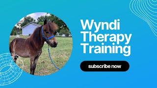 Teaching Commands to a Miniature Therapy Horse (Pretest)