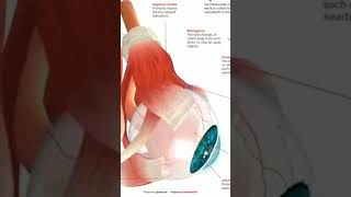 Which Of The Favors Of Your Lord Would You Deny?