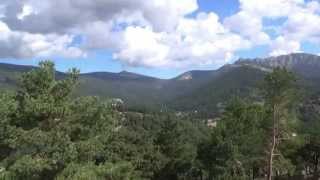 Dehesas Cercedilla (Moras)