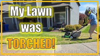 Recovering My Heat-Burnt Lawn | Sprinkler Fix, Fertilizer and Iron Boost!