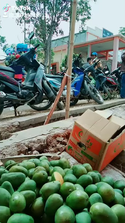 Ko sepi pada kmana ya