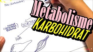 bagaimana  metabolisme karbohidrat menjadi karbohidrat secara biokimia ?