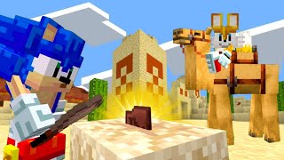 Sonic and Tails are TREASURE HUNTERS In Minecraft! | Sonic And Friends Minecraft [85]