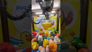Day 6 Trying to Win a Lucky Duck from the Claw Machine! #shorts #arcade #clawmachine