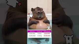 Think Credit25.6.6(720x1280)LD-yn.2.mp4