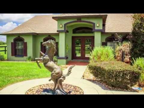 horseshoe bend Humming Bird Farm 15921 NW HWY 464 B Morriston, FL 32668
