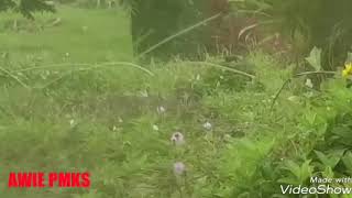 Terkukur Hunters Catch N Release Project