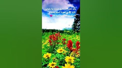 ولقد نعلم أنك يضيق صدرك بما يقولون  الآية 97 من سورة الحجر بصوت الشيخ محمد الليثي رحمه الله💔