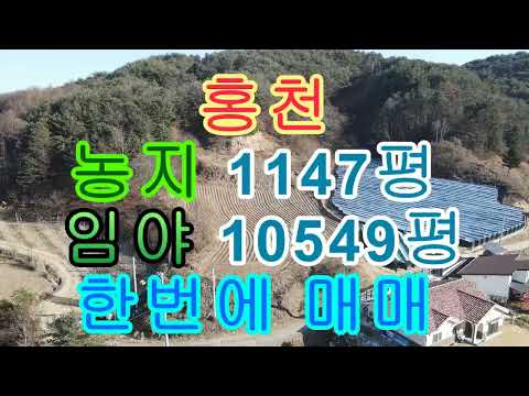 홍천 농지 <strong>임야</strong> 한 번에 매매 38668제곱11697평 2억 4천만