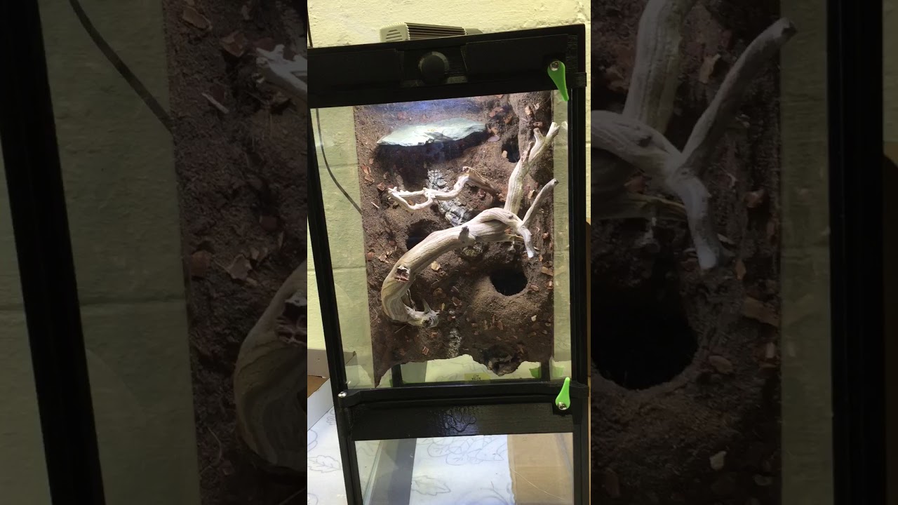 Frogcube vertical terrarium conversion