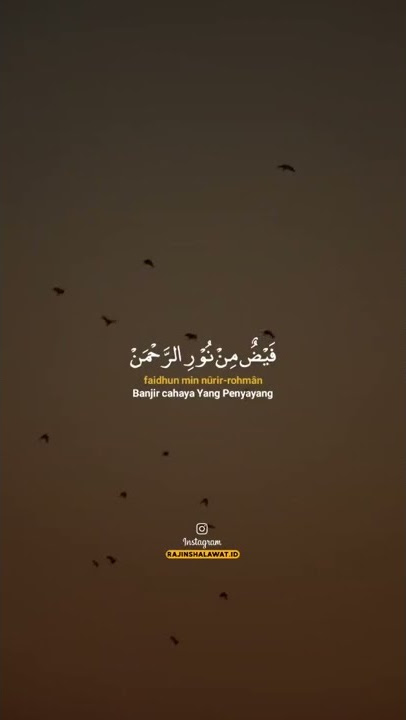 maulidu Ahmad thohal Hadi #sholawat #pecintashalawat