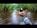 Kayak adventure: Kayaking through a creek deep in the mangrove jungle - Fishing for Silver Croaker