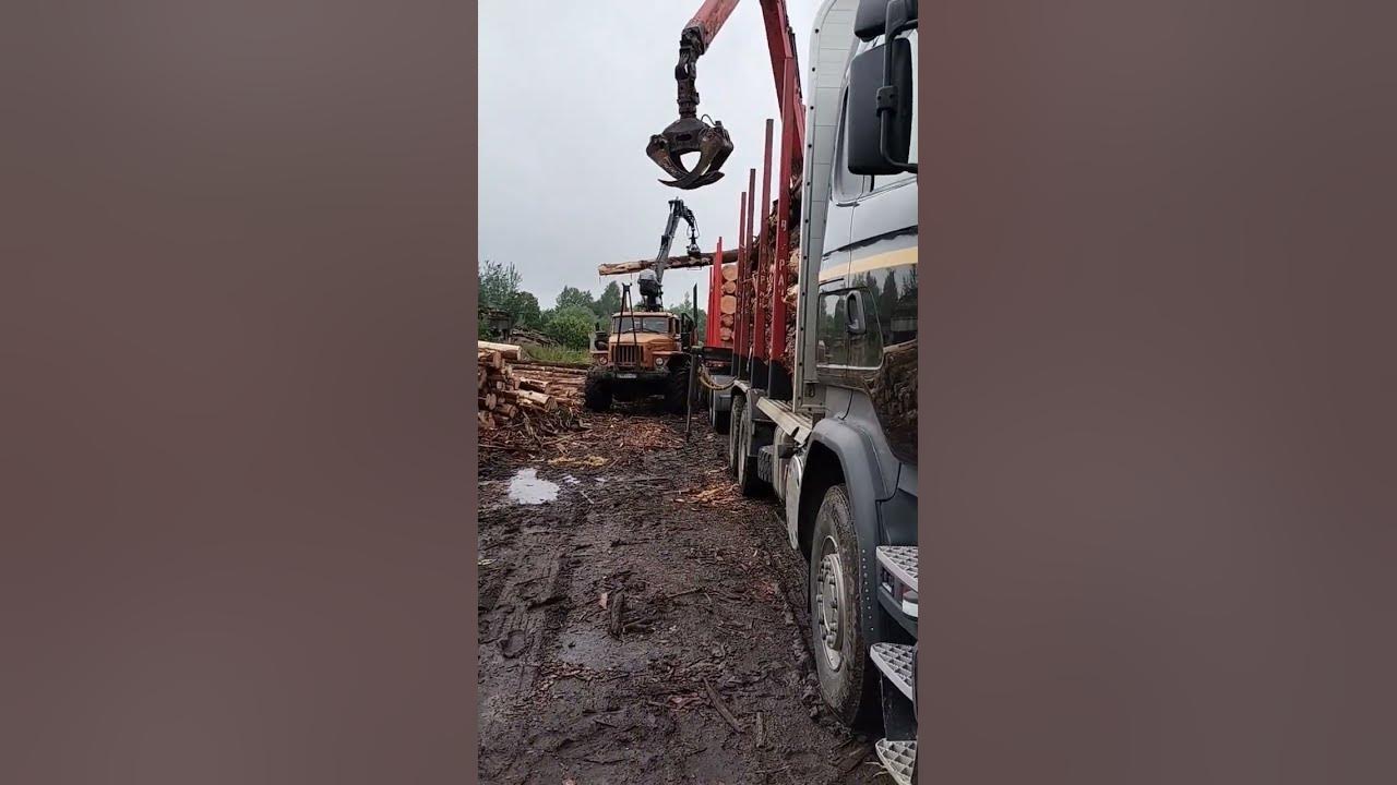 погрузка леса #рекомендации #грязь #лес #работа - YouTube